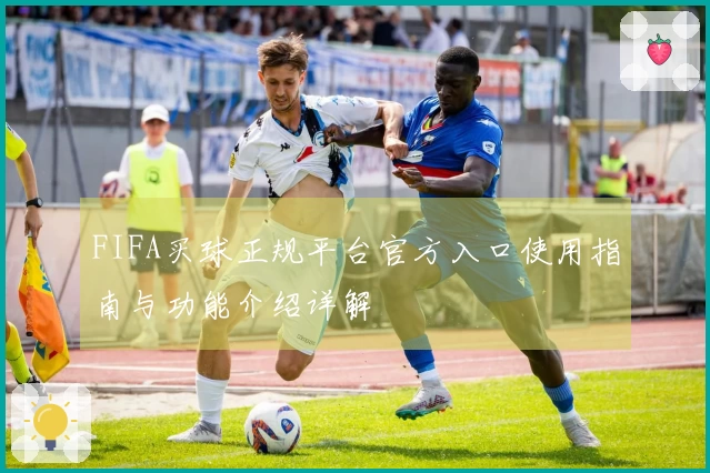 FIFA买球正规平台官方入口使用指南与功能介绍详解