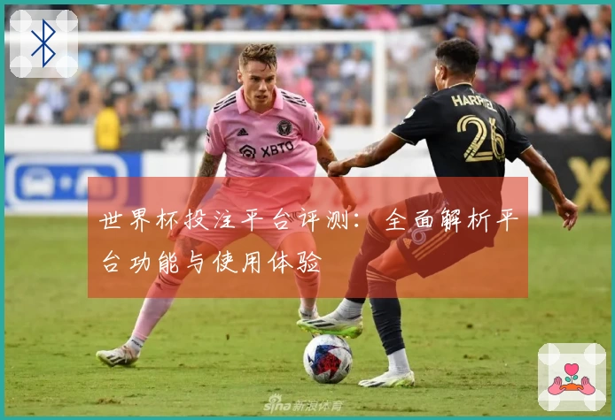 世界杯投注平台评测：全面解析平台功能与使用体验